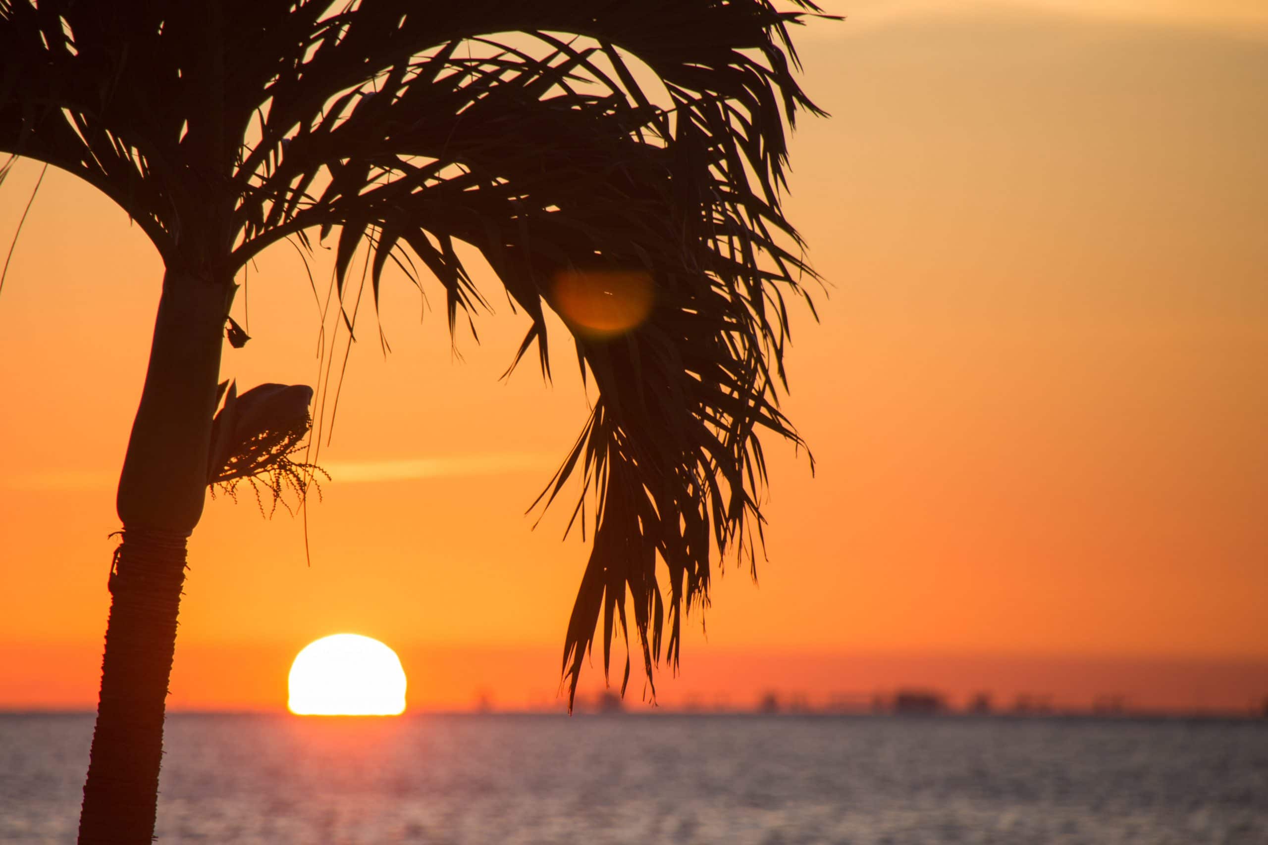 Florida Solar Incentives For 2021
