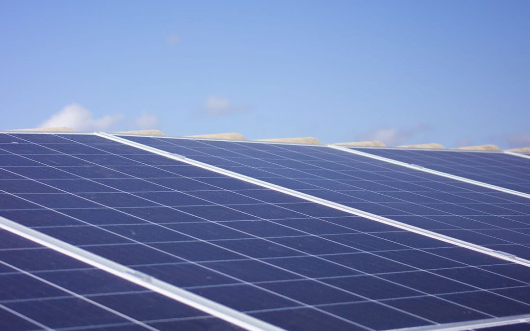 Should I Get Solar Panels? Take Our Homeowner’s Quiz to Find Out